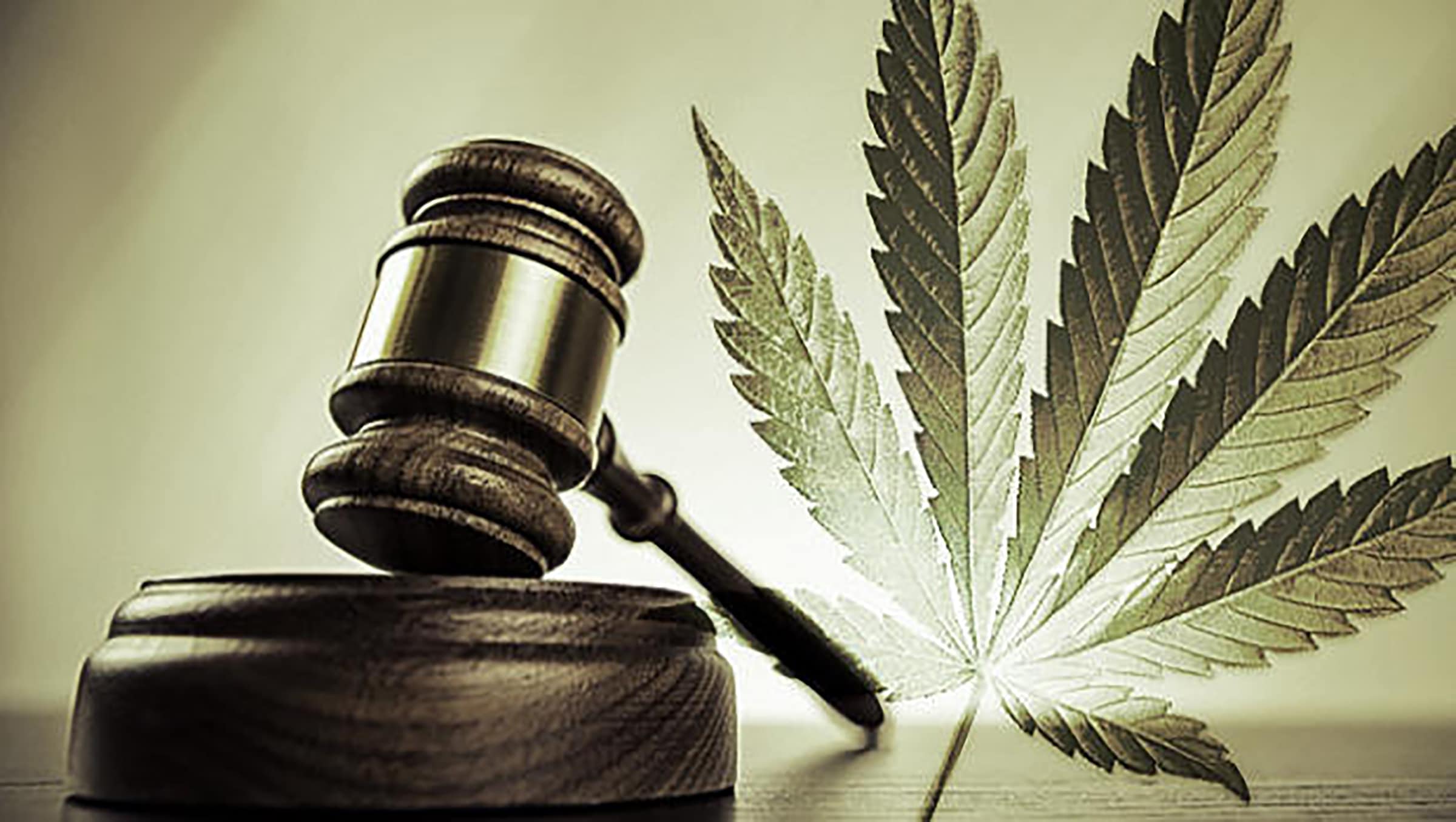 cannabis law and compliance