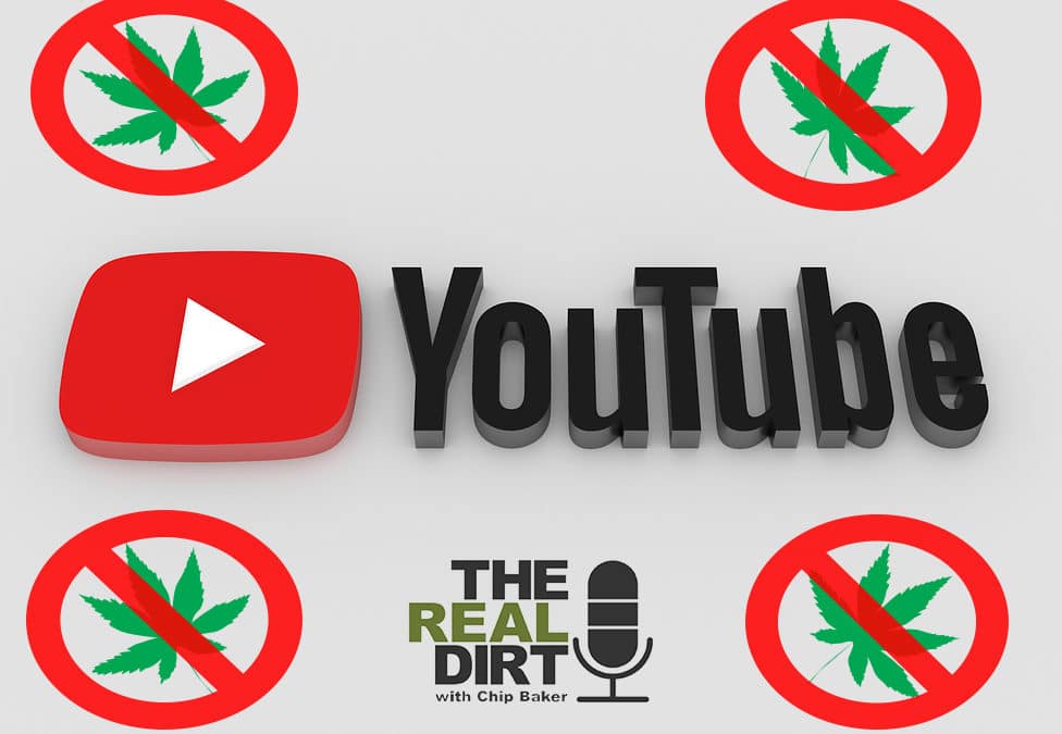 YouTube Goes After Cannabis Accounts