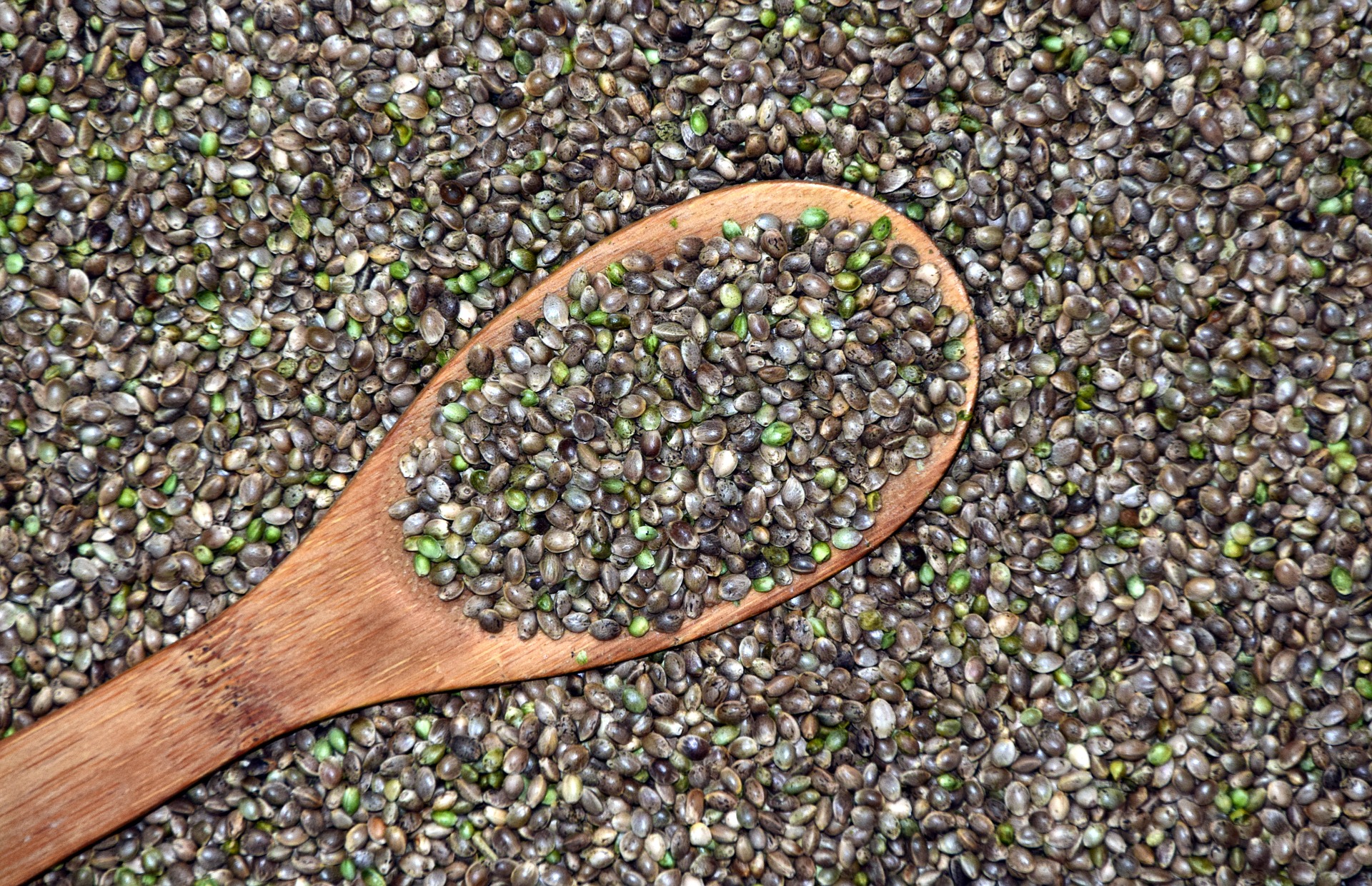 how do cannabis seeds work?