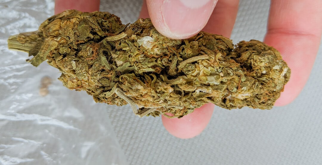 Is That Dirt Weed? How to Rate Your Cannabis Quality