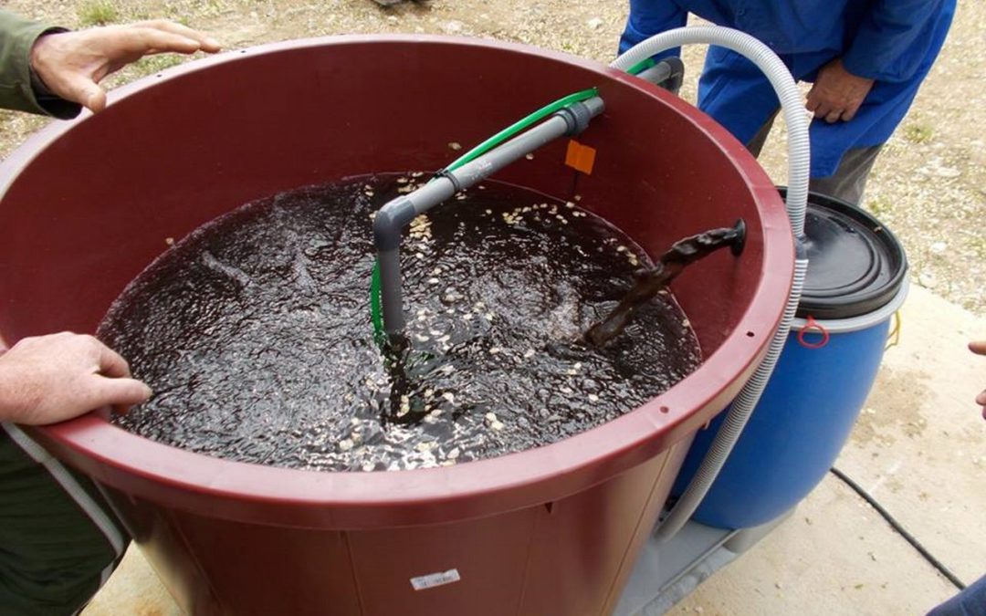 How to Brew Compost Tea