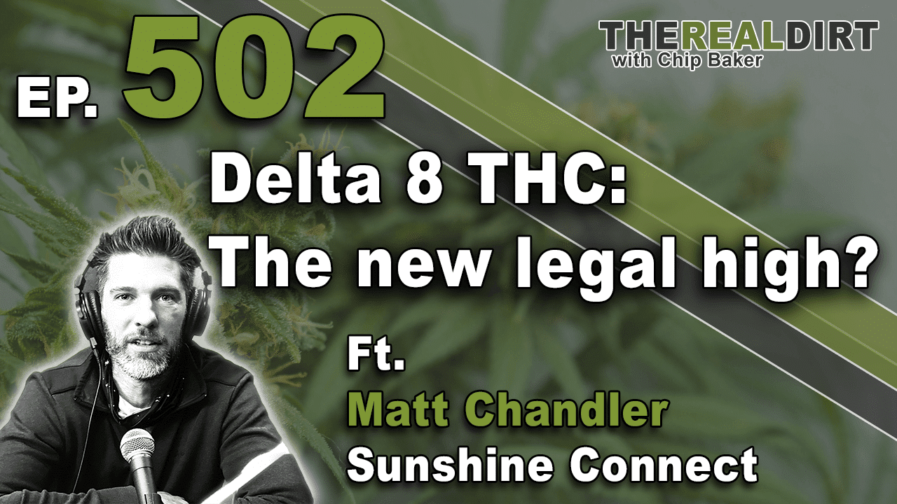 Does delta 8 thc get you high?