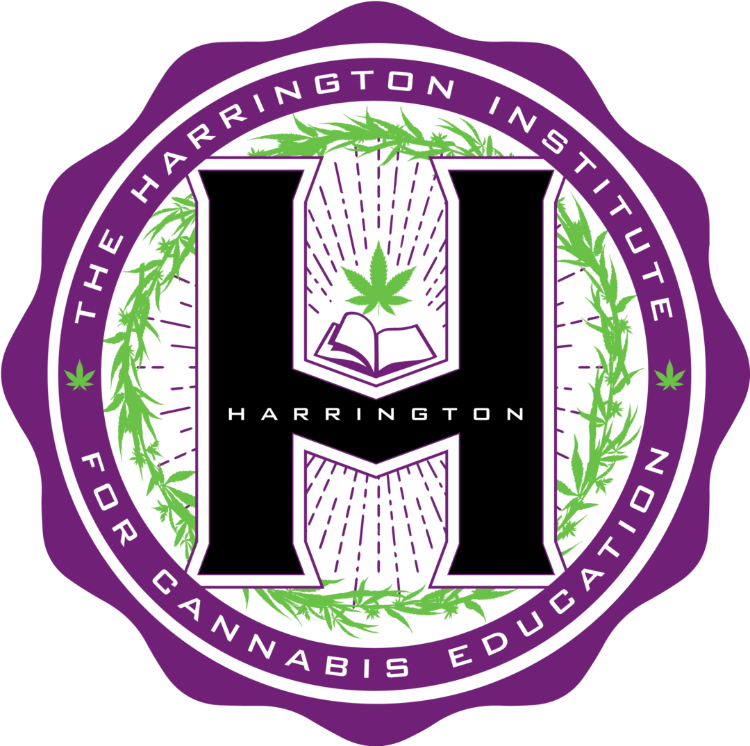 Viola cannabis company starts cannabis education institute