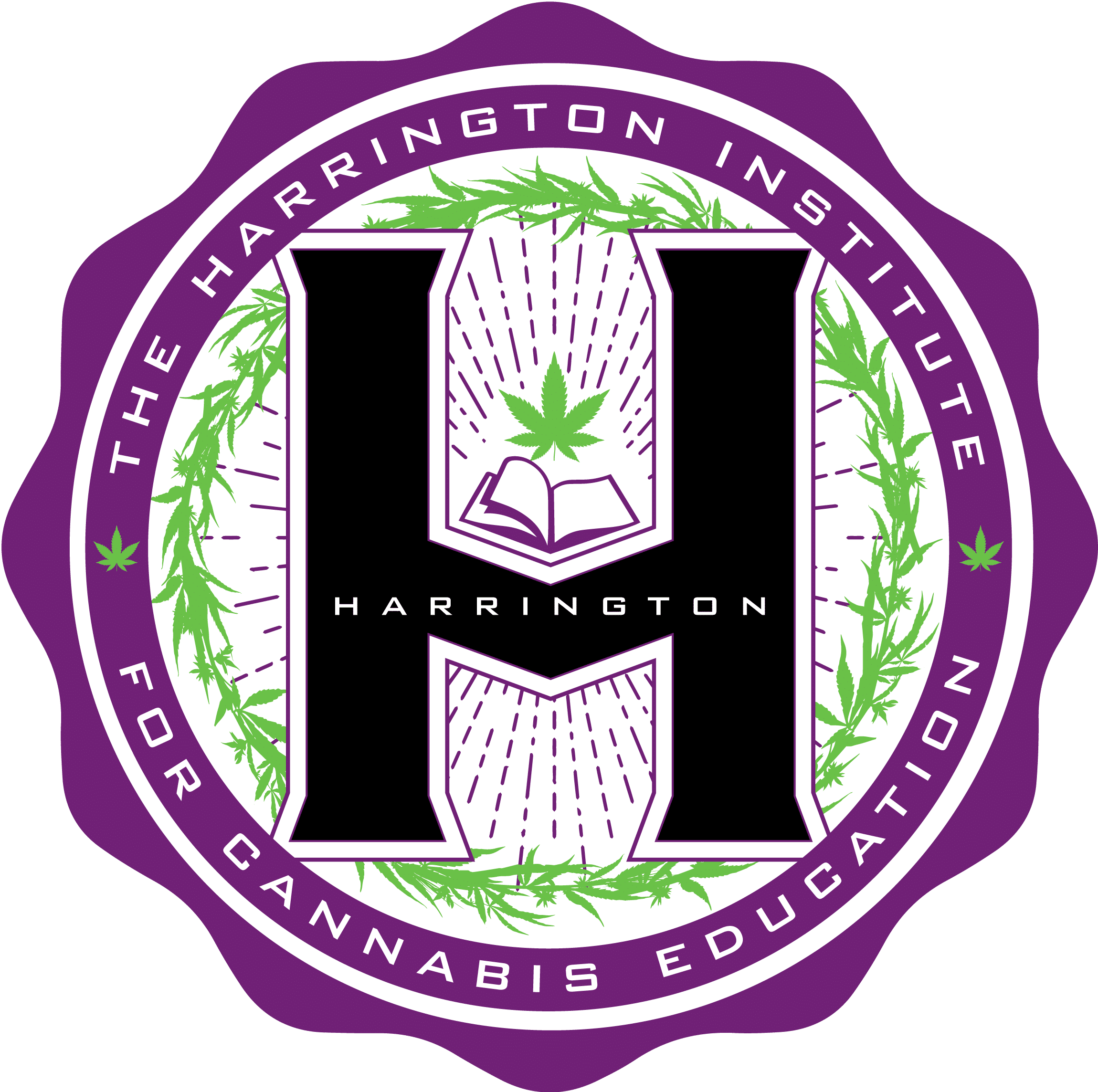 Viola cannabis company starts cannabis education institute