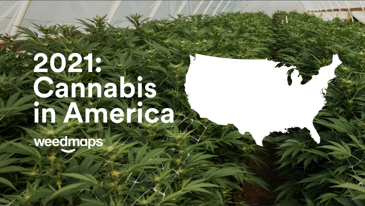 Weedmaps releases first report on the state of the legal cannabis industry