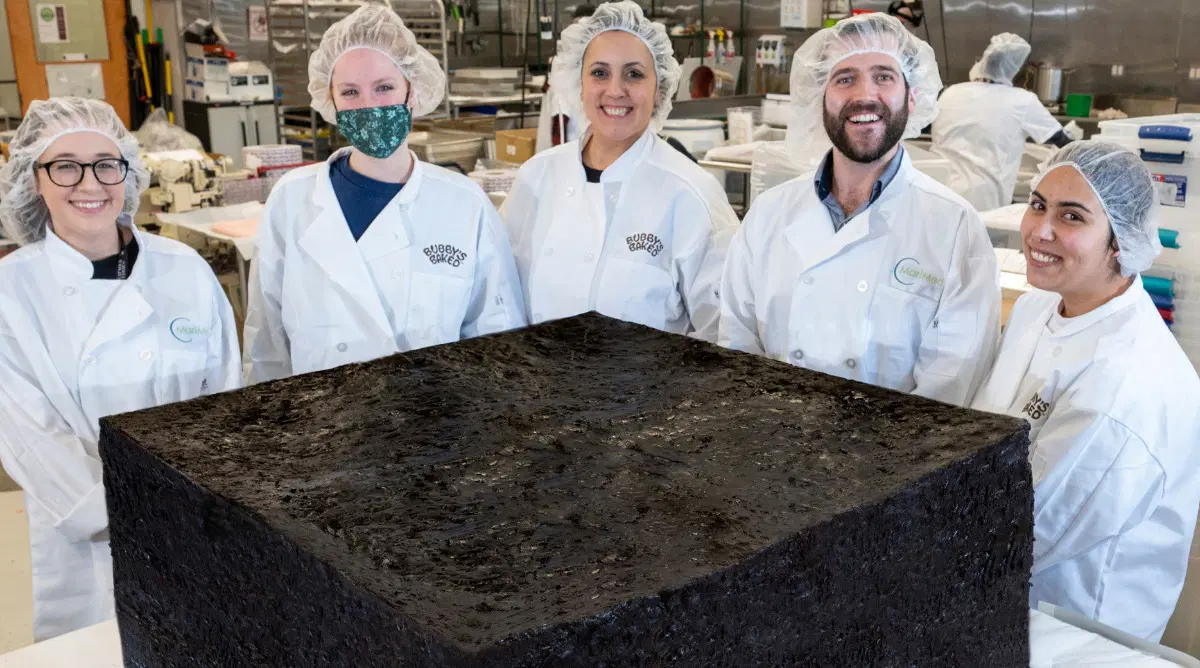 massachusetts cannabis company makes world's largest pot brownie