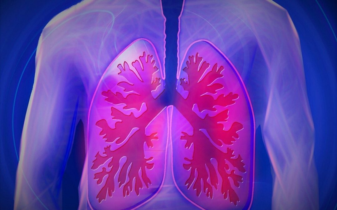 Cannabis Study Shows Occasional Use Does Not Cause Lung Damage