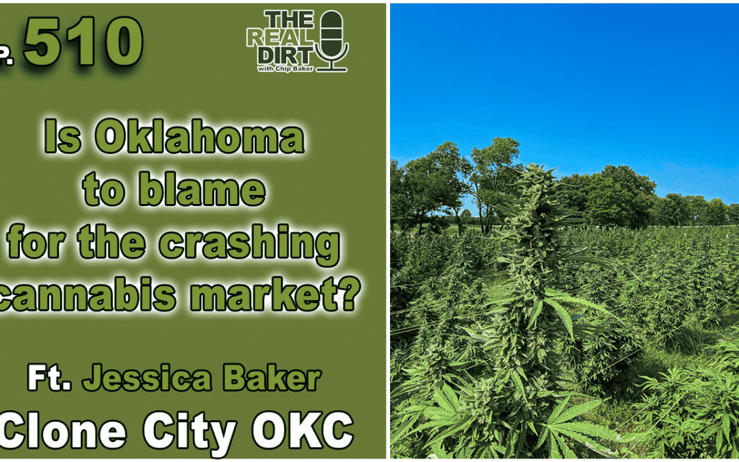 Is the Oklahoma cannabis market to blame for the crashing industry? Ft. Jessica Baker