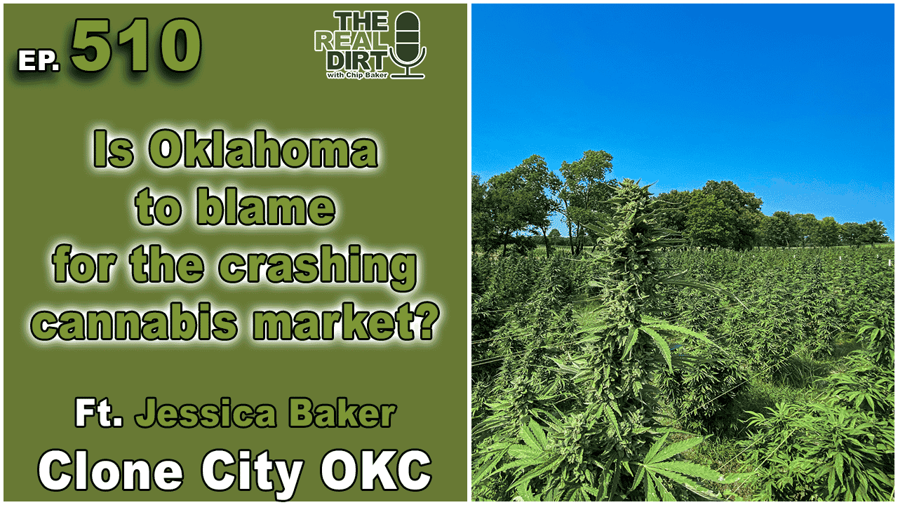 Oklahoma cannabis market
