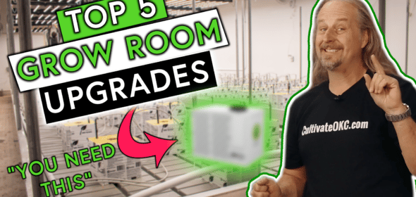 top 5 grow room upgrades and grow room build tips