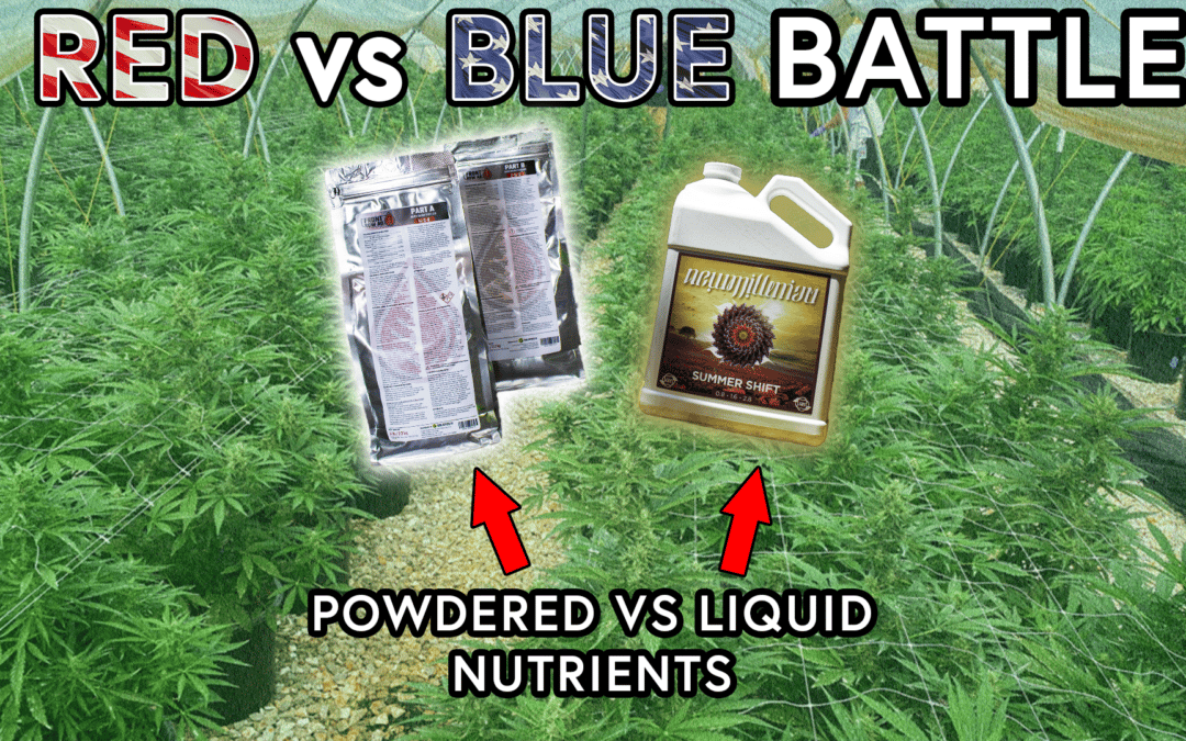 Powdered vs Liquid Nutrients: Which should you choose?